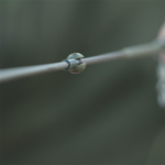 Korda Heli-Safe Tubing Kit Bead