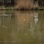 Matrix Pellet Wagglers