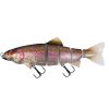Rage Shallow Jointed Trout Rainbow Trout