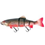 Rage Shallow Jointed Trout Tiger Trout