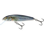 Salmo Minnow 5cm Spirlin