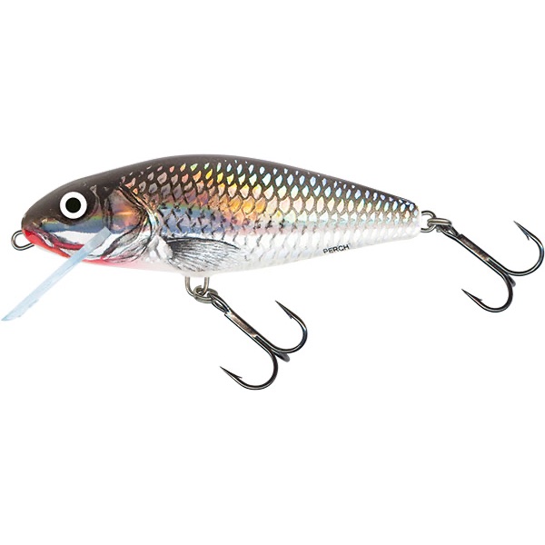Salmo Perch Grey Shiner