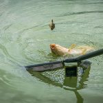 Matrix Pellet Feeder