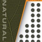 Fox Tapered Bore Beads