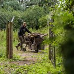 Fox Transporter Power Plus