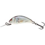 Salmo Hornet Real Dace