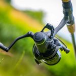 Guru N-Gauge Specimen