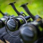 Guru N-Gauge Specimen