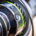 Guru N-Gauge Specimen